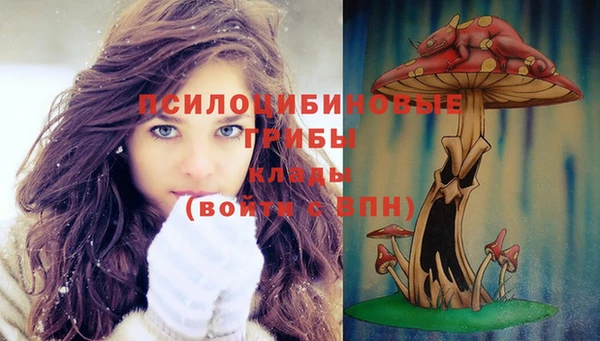 амфетамин Алексин